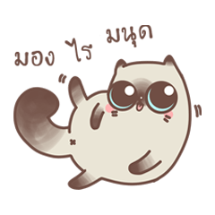 [LINEスタンプ] Nong Sri fat cat