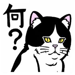 [LINEスタンプ] 太った猫