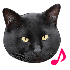 [LINEスタンプ] 明るい黒猫♪の画像（メイン）