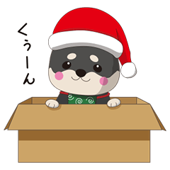 [LINEスタンプ] クリスマスが楽しみまたは不満な黒柴犬の画像（メイン）