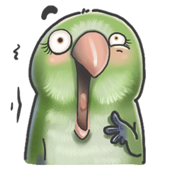 [LINEスタンプ] Parrot MaoDou's Things.