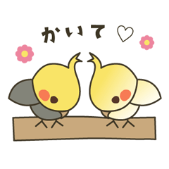 [LINEスタンプ] オカメインコ ほほとららの日常 001