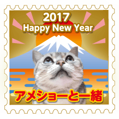[LINEスタンプ] 2017 Happy New Year〜アメショーと一緒の画像（メイン）