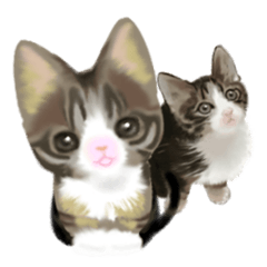 [LINEスタンプ] 子猫のごままろ