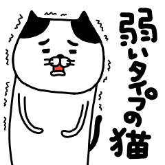 [LINEスタンプ] 弱いタイプの猫の画像（メイン）