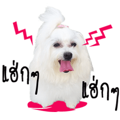 [LINEスタンプ] Mutu My Dog