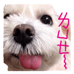 [LINEスタンプ] Blind dog FatLily