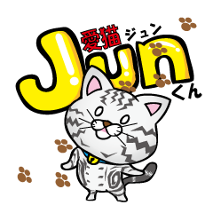 [LINEスタンプ] 愛猫Jun