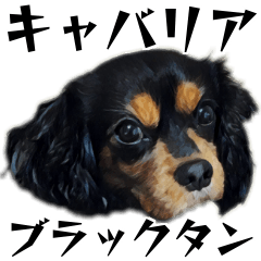 [LINEスタンプ] キャバリアのリロちゃん