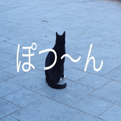 [LINEスタンプ] 公園猫