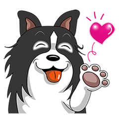 [LINEスタンプ] Border Collie - black and white brotherの画像（メイン）