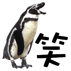[LINEスタンプ] ペンギンの時間