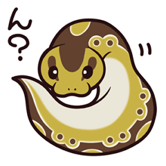 [LINEスタンプ] 爬虫類すたんぷ