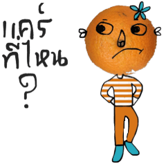 [LINEスタンプ] Cool Orange