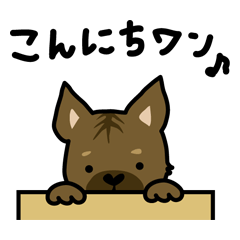 [LINEスタンプ] 甲斐犬（ぼく玄米だワン）