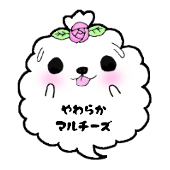 [LINEスタンプ] やわらかマルチーズ ヴィヴィ（日本語）の画像（メイン）