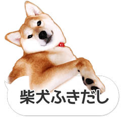 [LINEスタンプ] 柴犬とお友達のふきだしスタンプ