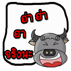 [LINEスタンプ] Sunji buffalo