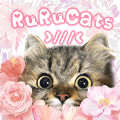 [LINEスタンプ] RuRu's cats.