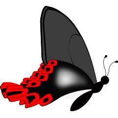 [LINEスタンプ] Taiwan butterfly (Agehana maraho)