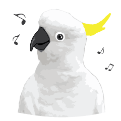 [LINEスタンプ] Hello Cockatoo