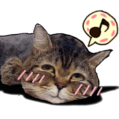 [LINEスタンプ] Cats greeting wordsの画像（メイン）