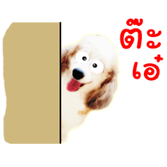 [LINEスタンプ] the dog cute