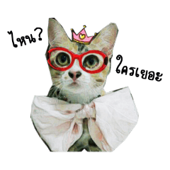 [LINEスタンプ] My cat is a funny