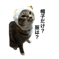 [LINEスタンプ] 飼い犬、猫のリアルな心の声