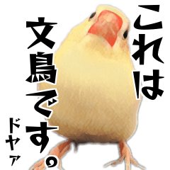 [LINEスタンプ] 白文鳥のとんちゃん