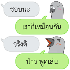 [LINEスタンプ] Let's Speak with Pigeon