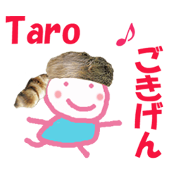 [LINEスタンプ] 太郎 ちゃん の名前スタンプ