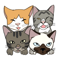 [LINEスタンプ] Kitten Family