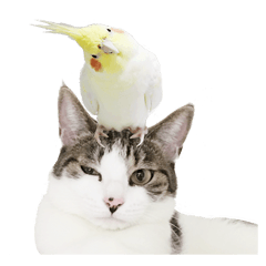 [LINEスタンプ] もーちゅとなーちゃん