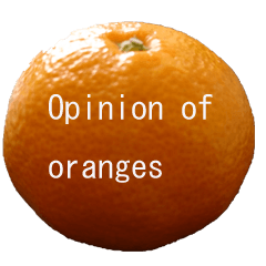 [LINEスタンプ] Opinion of oranges