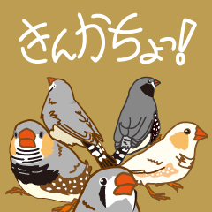 [LINEスタンプ] きんかちょっ！