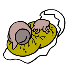 [LINEスタンプ] Balut Egg