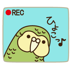 [LINEスタンプ] はっぴーカカポ6