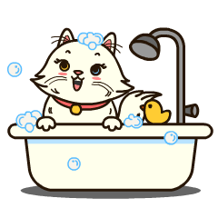 [LINEスタンプ] Persian Cute Cat