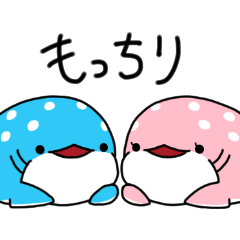 [LINEスタンプ] もっちりジンベエザメのもちべぇ