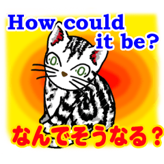 [LINEスタンプ] 猫で英会話 よく使う英語編vol2