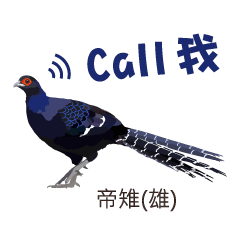 [LINEスタンプ] Taiwan wild bird series_2 by Gerald Her