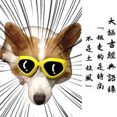 [LINEスタンプ] Daily Life by Corgi Han-Gi