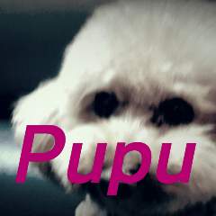 [LINEスタンプ] I am Pupu 1