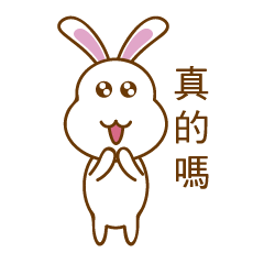 [LINEスタンプ] White Mochi Rabbit