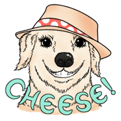 [LINEスタンプ] Encouragement wording with animal faces