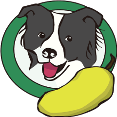 [LINEスタンプ] Border Collie Dailyの画像（メイン）