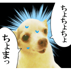 [LINEスタンプ] テンション高めのチワワ