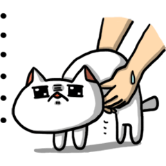 [LINEスタンプ] Gai bai kitty