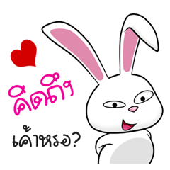 [LINEスタンプ] Sai Mai rabbit